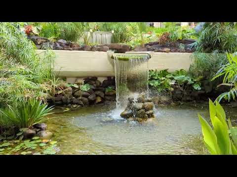 Videos del Paradisus By Meliá Salinas Lanzarote 5★ en Costa Teguise, EspañaVer MásVerPrecios17CerrarConsulta por Whatsapp 🇦🇷BookingTripadvisorExpediaAgodaTravelocityOrbitzPricelineTripSkyscannerDespegarHotelesDestiniaTrivagoLastminuteHotwireTuiWotif