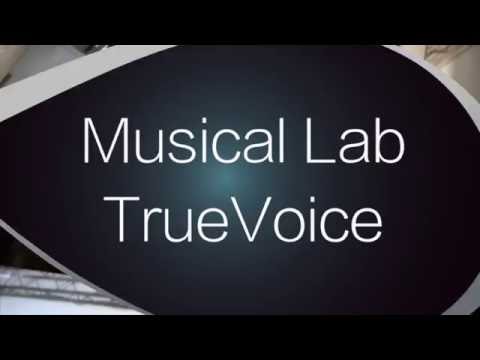 Musical Lab Anno 2016/17