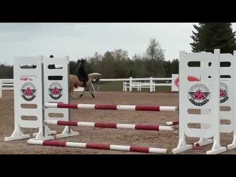 Goldilocks video 2