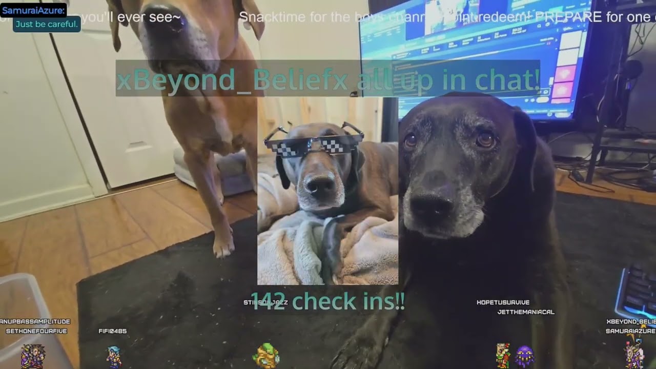 youtube VOD