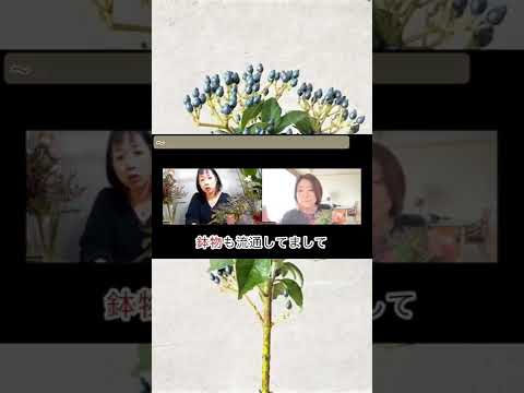 鶏小屋に植える低木はどれですか?またその理由は何ですか?囲いに適した5つの理由と7つの理想的な種を紹介します。  庭園