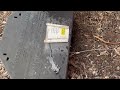 Big Ant Colony Underneath Rodent Bait Station in Far Hills, NJ