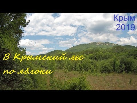 Крым, СУДАК 2019. Прогулка в лес в июле, набрали яблок