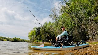 I Was Fishing in 2 Feet of Water When This RARE Fish Hit