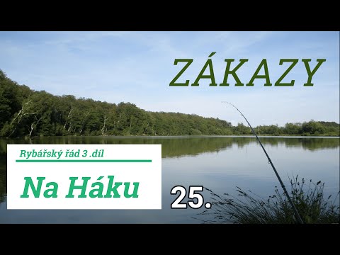 Vysvětlujeme si RYBÁŘSKÝ ŘÁD 3. díl - Co je v revíru zakázáno?