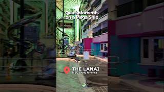 Sunrise on the MSC World America