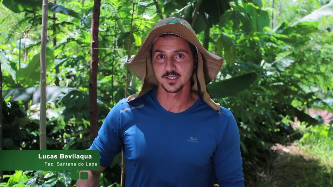 A AGROFLORESTA e seus princípios AGROECOLÓGICOS