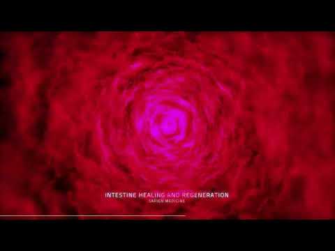 Intestine Healing and Regeneration by Sapien Medicine
