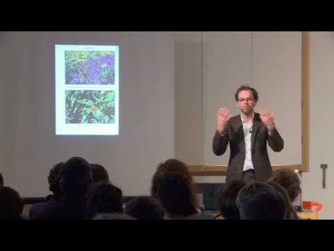 Tom Emerson - Constructing Nature