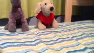 Stereo hearts webkinz sing off