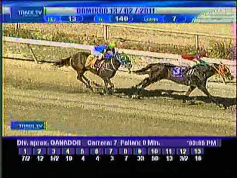 Resumen domingo 13 de febrero 2011 - La Rinconada