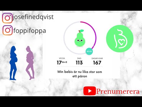 Gravid Vecka 17