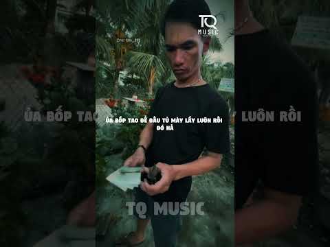 Tình cha ấm áp 3 tờ 500... #tqmusic #shorts #trending #xuhuongyoutube #tiktokviral #tiktok #viral