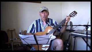 Les Ogres de Barback ....  Vous m'emmerdez...    guitare ( cover )