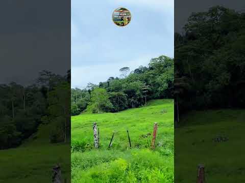 Media Libra Río Negro Municipio Córdoba Tachira Venezuela 🇻🇪