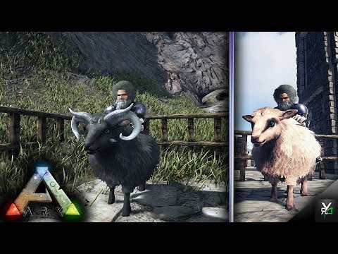 SO MANY SHEEEEP!- Xbox Ragnarok EP 47