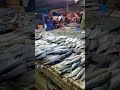 Amazing Sea Food Fish Market In Sri Lanka Trending Viralvideo