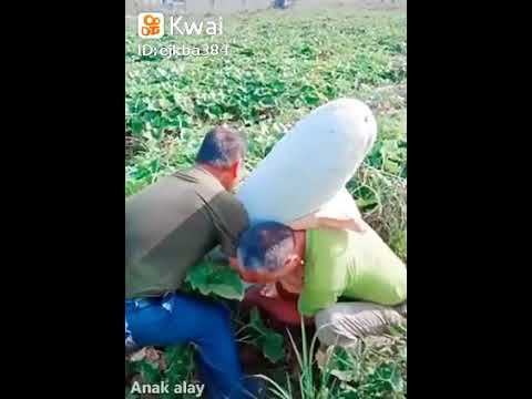 4 de outubro de 2019