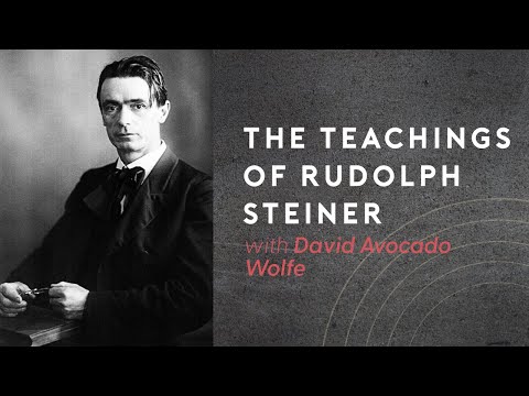 The Teachings Of Rudolph Steiner with David Avocado Wolfe episode banner