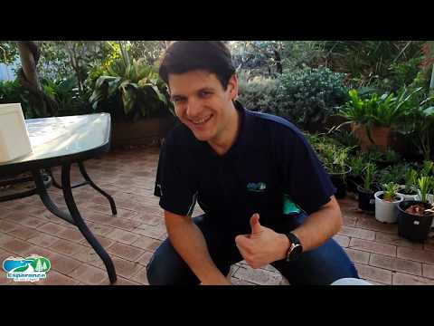 How-to: Easy DIY Compost Bin