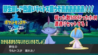 【ポケモン剣盾】野生厳選レア色違いラルトスが欲しい500匹到達！＃6【雑談生放送】