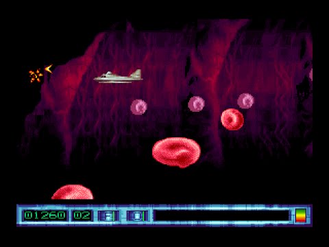 Fantastic Voyage picture