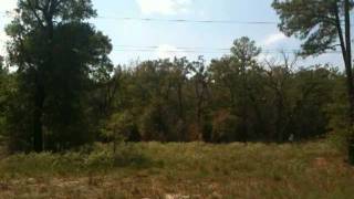 What a Suppressed bullet sounds like on the receiving end!