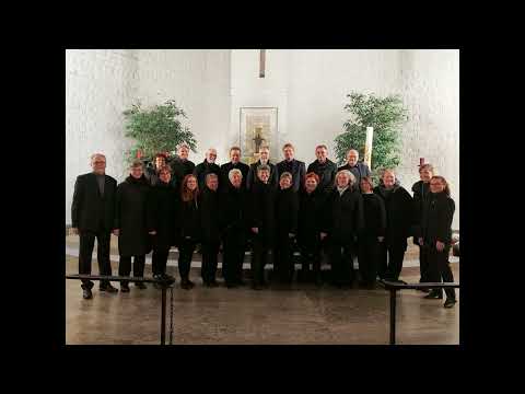 Martin Asander - O magnum mysterium