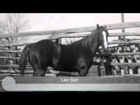 Leo San
