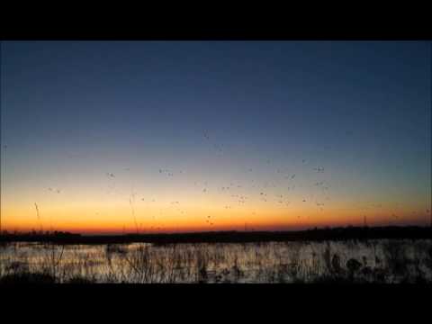 Archive 52 Video thumbnail