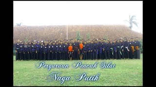 preview picture of video 'Peragaan Jurus P.P.S. NAGA PUTIH ( Jatilawang,Jawa Tengah )'