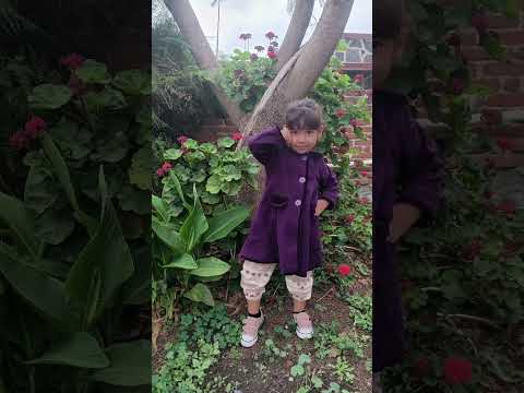 3 de octubre de 2025