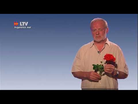 Augenblick mal... - 11.07.2013