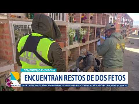 La Paz: Encuentran dos fetos en cementerio de Viacha