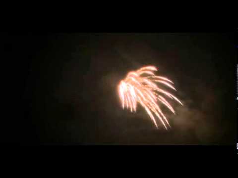 N281 4'' Gold Brocade Waterfall