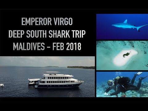Emperor Virgo Liveaboard - Scuba Diving in the Maldives  - Deep South Shark Trip -  Feb 2018