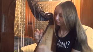 Animals as Leaders – On Impulse (harp cover)