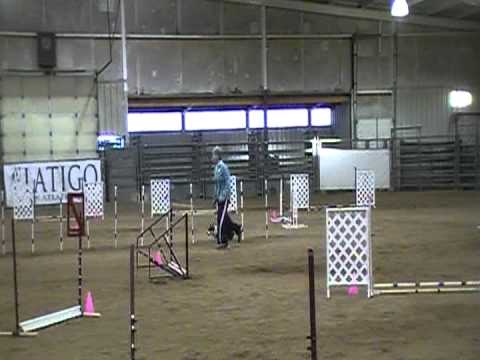 2011-01-28 Zinger JWW.MOD