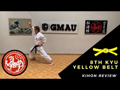 8th Kyu Yellow Belt - All Belt Levels - Kihon Review Class 1 thumbnail
