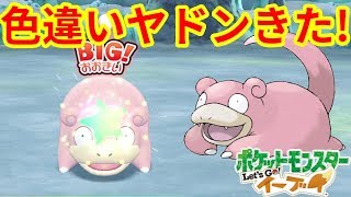 ヤドン ポケットモンスター キュワワー ズバット クサイハナ