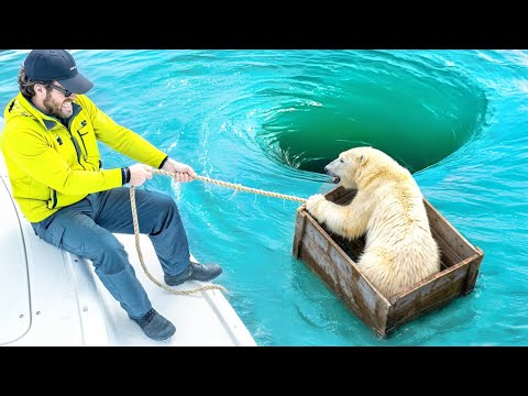 Animals That ASKED People For Help And Kindness!