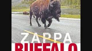 Frank Zappa - Pick Me, I&#39;m Clean