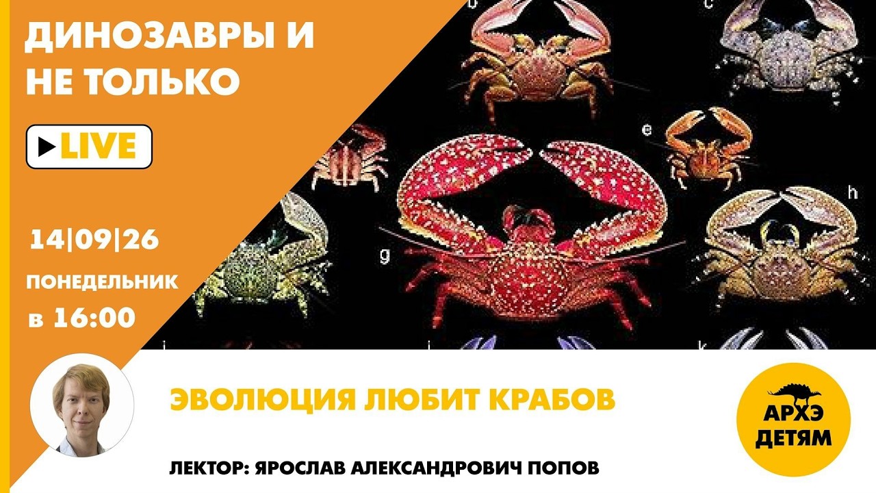 Занятие «Эволюция любит крабов» рубрики "Динозавры и не только" с Ярославом ?