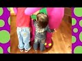 Barney And Friends Riff 2006