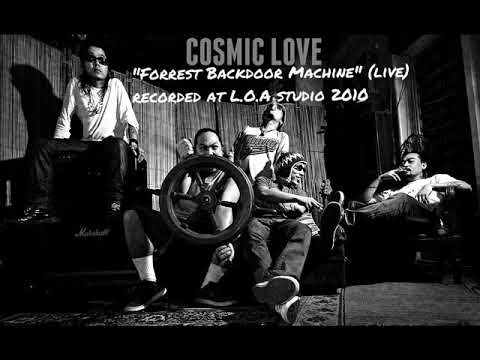 COSMIC LOVE - Forrest Backdoor Machine (Live)
