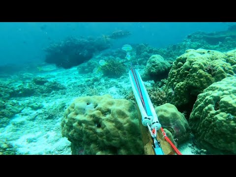 Ep.344 - Mabebelieve ka Dito | Inaantay ang pagbabalik | Catch and Cook