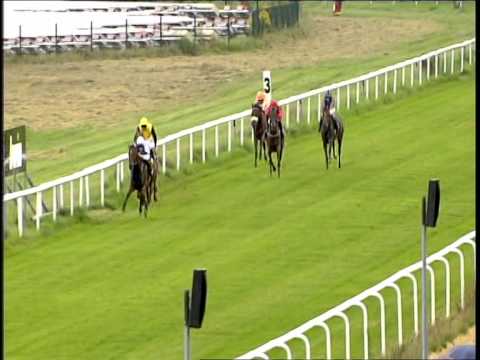 Galopprennbahn Dresden - 07.09.2014 - 1.Rennen