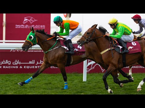 RM15 Al Uqda  RACE- 6 -  Al Arish Cup