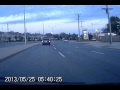 Cat Runs Away After Being Hit But Car