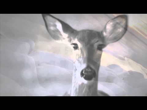 Léonard Constant — « Dans le hangar des glaces »